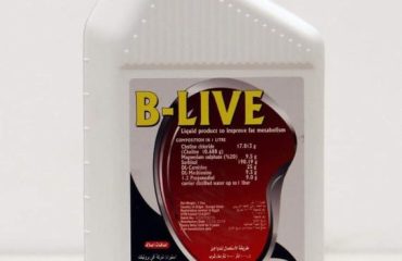 B-LIVE